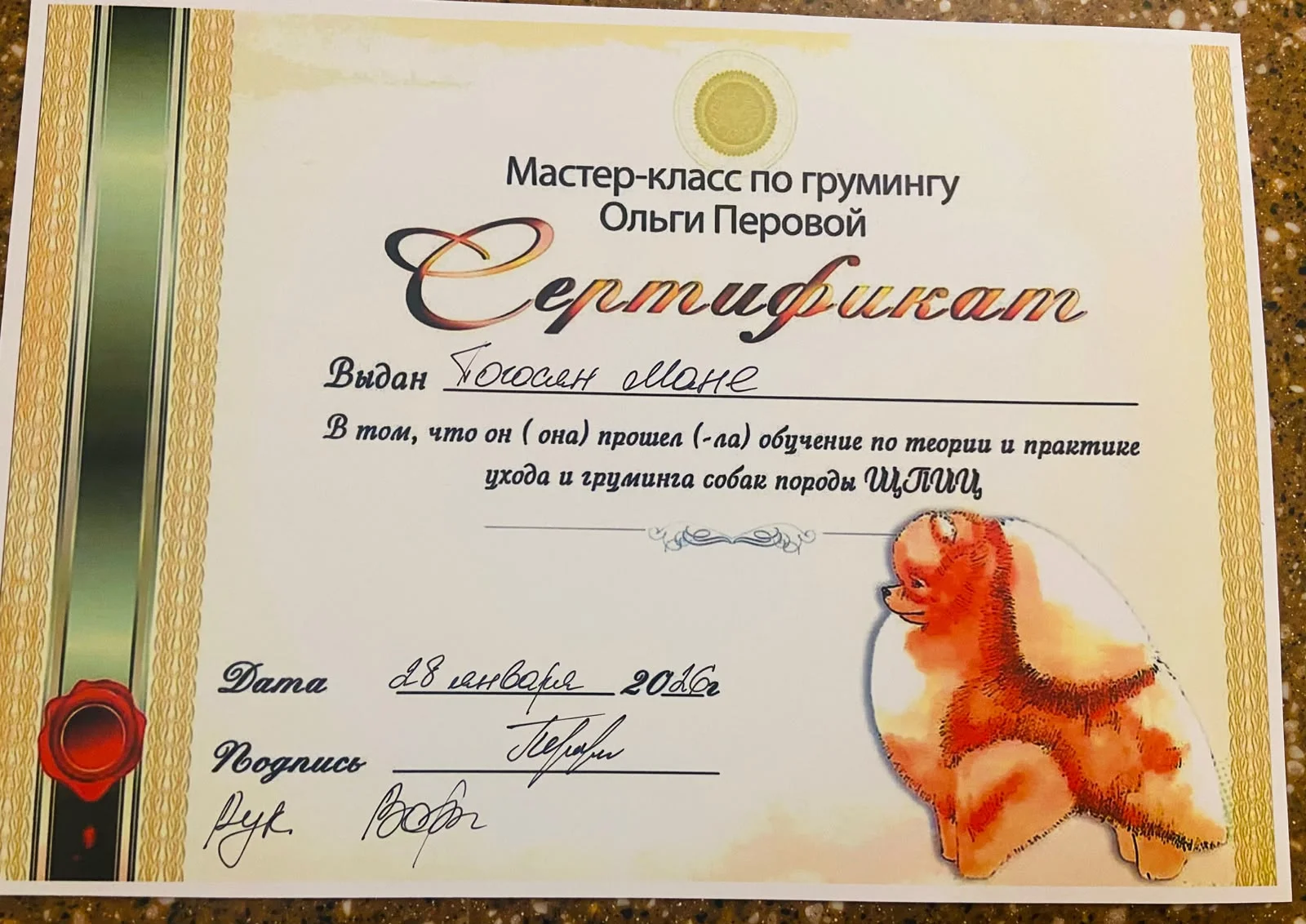 Сертификат о мастерстве и квалификации в салоне Мане ГРУМ